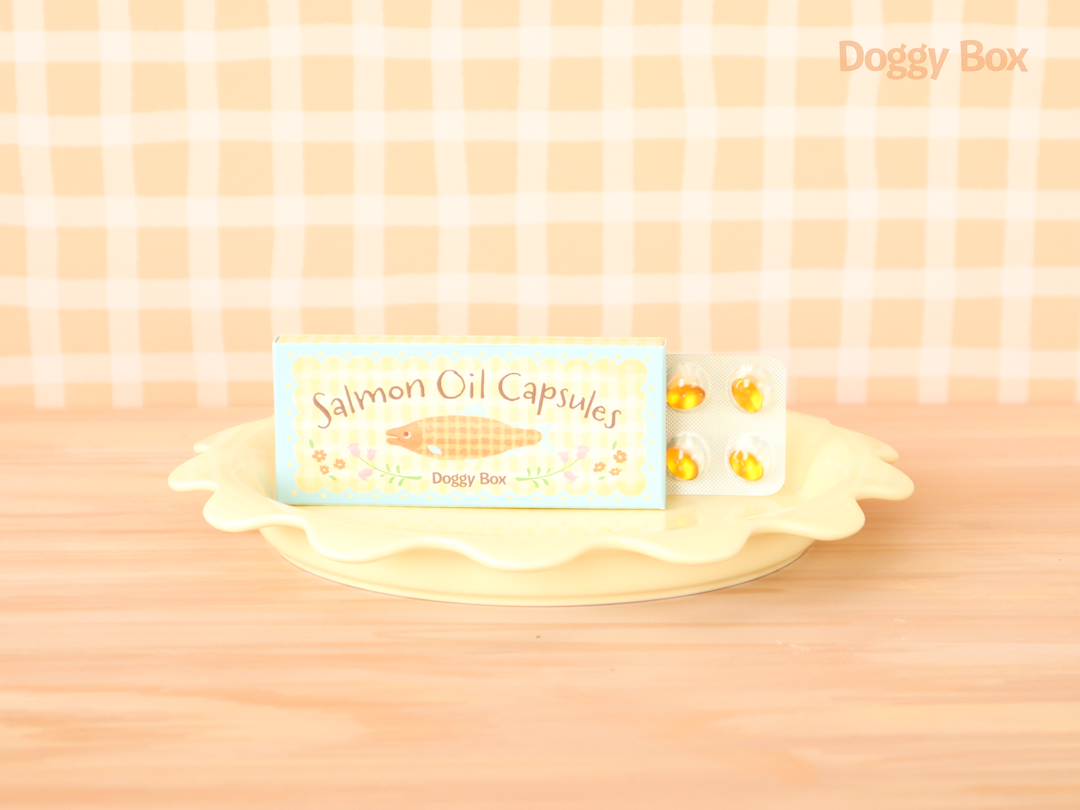 Doggy Box(medium)