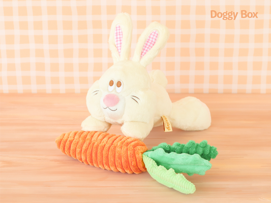 Doggy Box(medium)