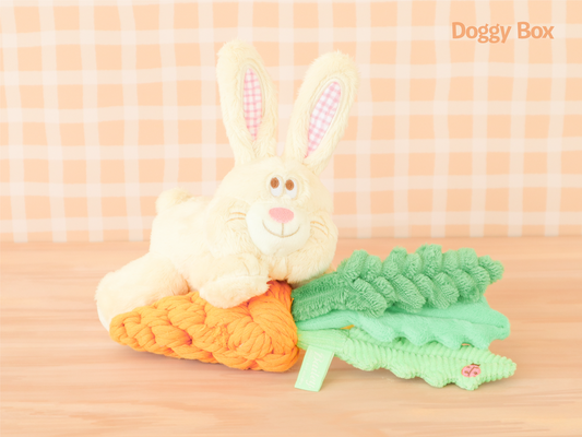 Doggy Box(small)