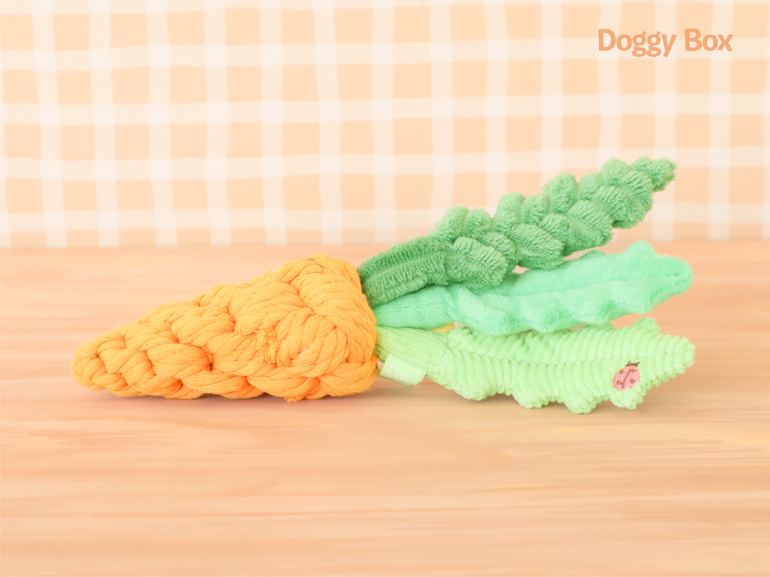 Doggy Box(small)