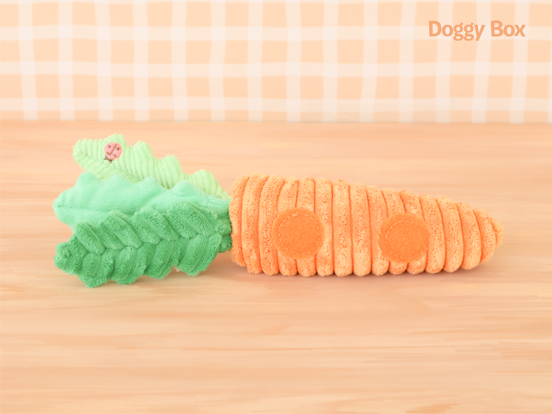 Doggy Box(medium)