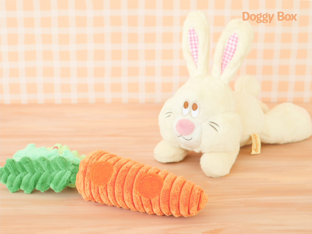 Doggy Box(medium)