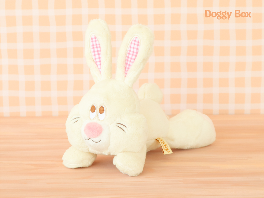 Doggy Box(medium)