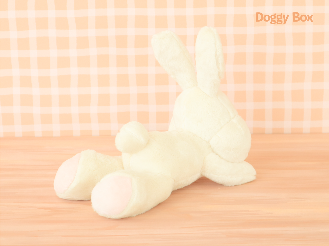 Doggy Box(medium)