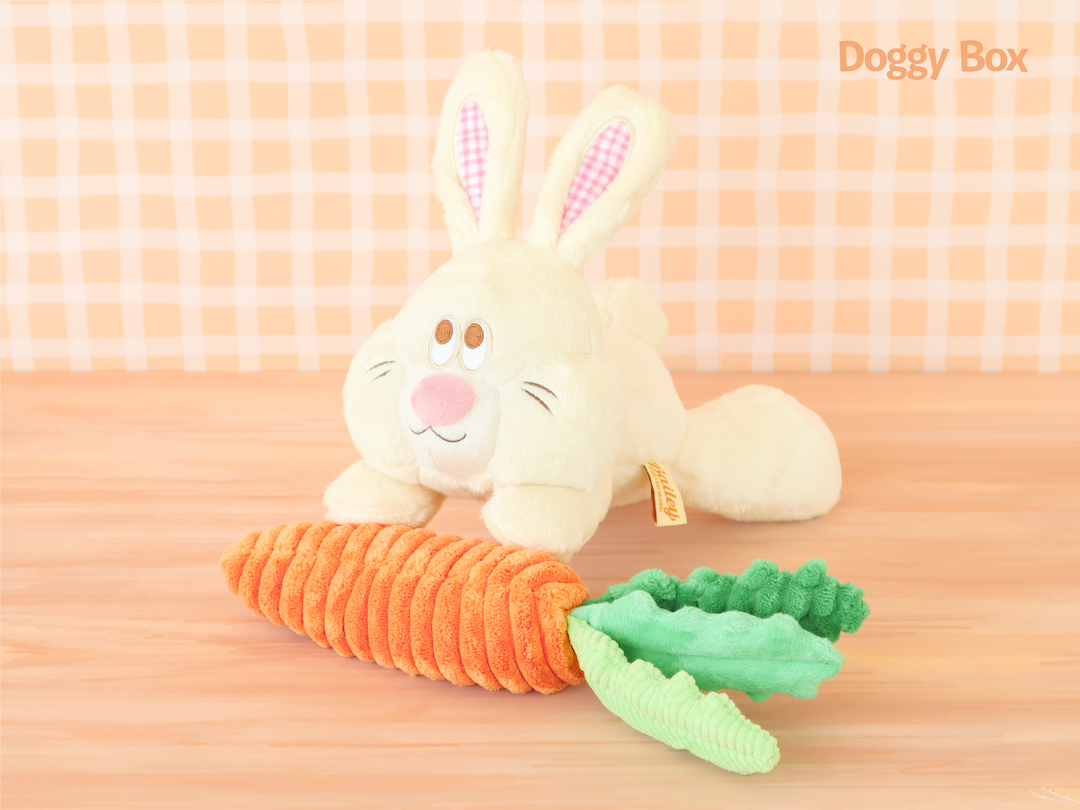 Doggy Box(medium)
