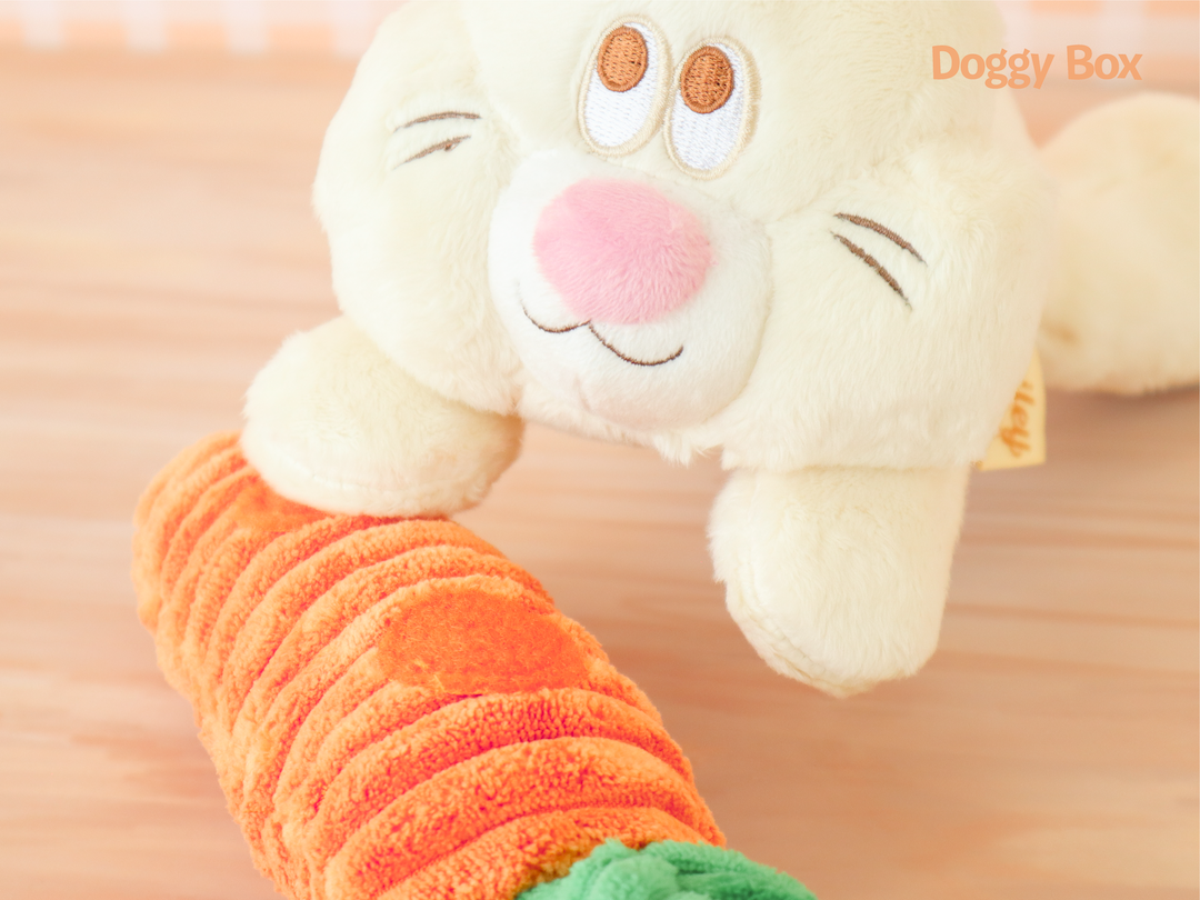 Doggy Box(medium)