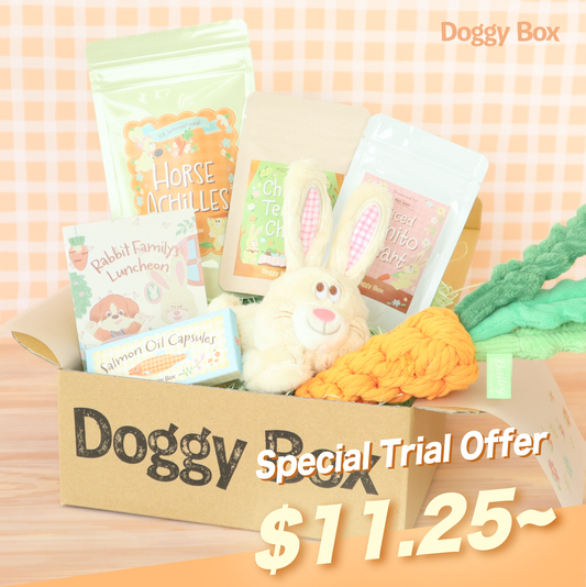 Doggy Box(small)