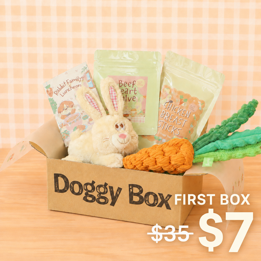 Small Dog Box – Under 20 lbs